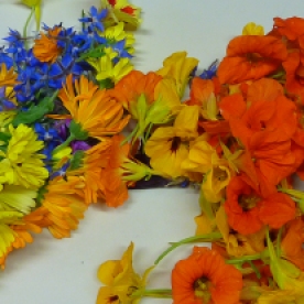 Kapuzinerkresse-, Ringelblumen- und Borretsch-Blüten